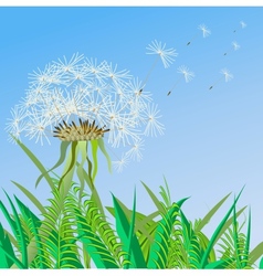 Floral background with flowers vector image