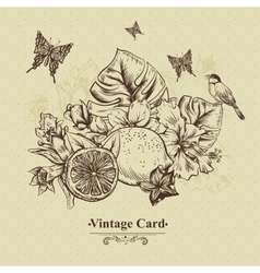 Vintage Greeting Card Tropical Fruit Flowers vector image