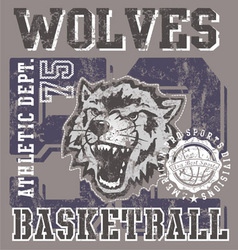 Wolves basketball team vector image