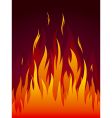 Fire vector image