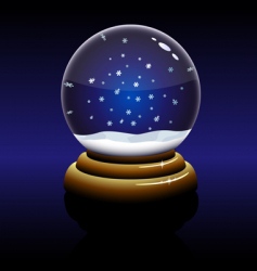 Christmas glass globe vector image