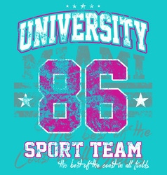 University sport team University sport team vector image