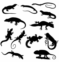 Lizards Silhouettes detailed Lizards Silhouettes detailed vector image