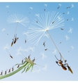 Dandelion on a background blue sky vector image
