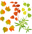 Leaf - collection for designers vector image