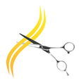 Scissors vector image