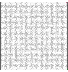 Maze vector image