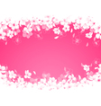 Cherry flowers vector image