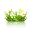 Spring grass vector image
