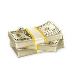 Stack of money vector image