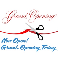 Grand Opening Background vector image