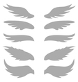 Wings Wings vector image
