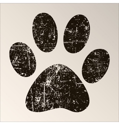 Paw print vector image