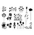 Set of floral design elements vector image