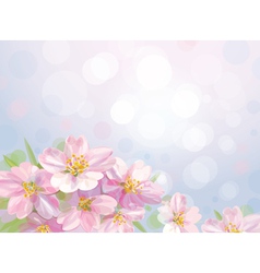 Spring vector image