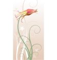Columbine vector image