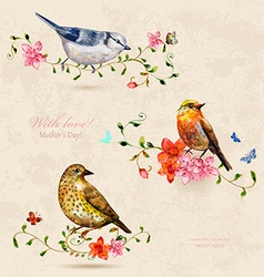 Collection of cute birds watercolor painting vector image