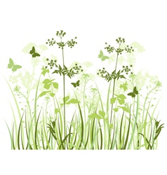 Wildflowers vector image