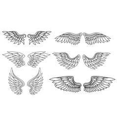 Set of eagle or angel wings vector image