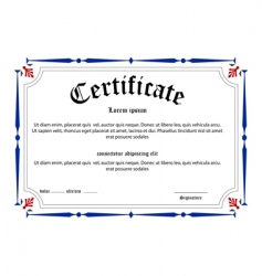 Education certificate vector image