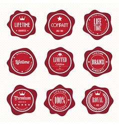 Set of retro vintage badges and labels eps10 vector image