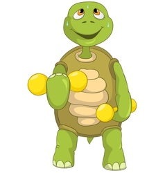 Funny Turtle Gym vector image