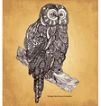 Decorative owl vector image