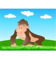 Gorilla in the wild vector image