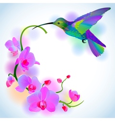 Rainbow humming-bird with violet orchids vector image