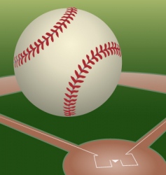 Baseball vector image