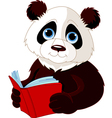 Panda reading a book vector image