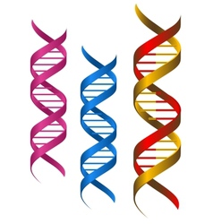 DNA elements vector image