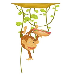 Monkey vector image