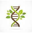 DNA genetic icon - tree with green leaves vector image