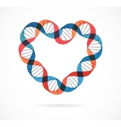 DNA genetic icon - heart vector image