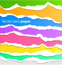 Collection of colorful torn paper vector image