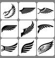 Wings vector image