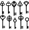 Antique skeleton keys vector image