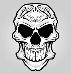 Mexico skull vector image