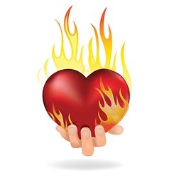 Heart in fire vector image