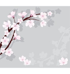 Cherry branch vector image