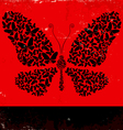 Butterflies vector image