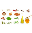 Group with spice vector image