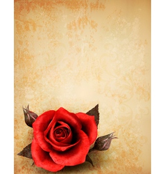 Big red rose on old paper background Big red rose on old paper background vector image