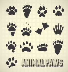 Animal Paw Prints vector image