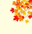 Autumn leaves background vector image