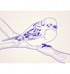 Sparrow vector image