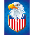 Symbol of USA vector image