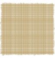 Straw texture vector image