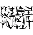 Gymnastic silhouettes vector image